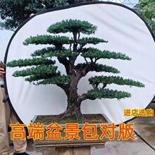 �_�h���辰�䘶ȸ���_�h�������S��ӭ���ɺ����辰�Ϙ��҃�����B