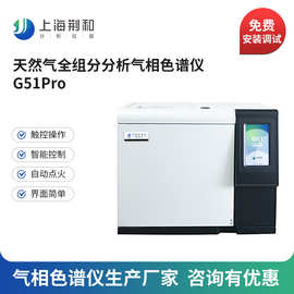 荆和 G51Pro天然气全组分分析气相色谱仪 燃气液化气炼厂气裂解气