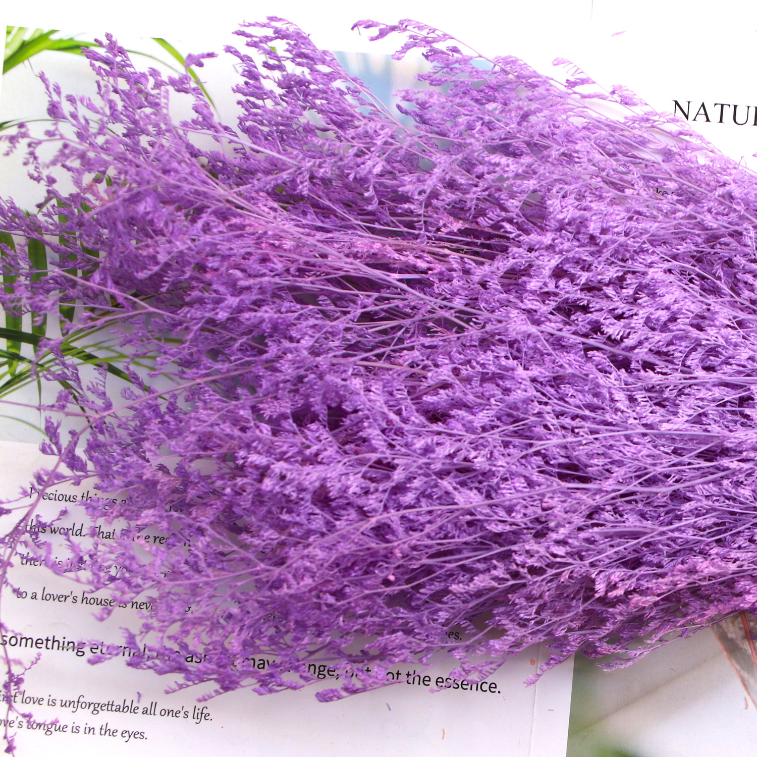 Purple, 100 gram