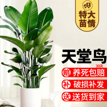 �����B�Gֲ�����҃ȿ͏d��ꎺû�����^�~ֲ���ļ������Q���m����