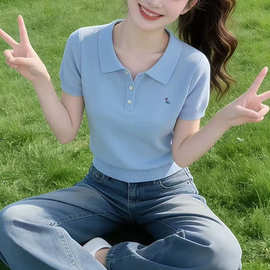 休闲好看浅蓝色polo领针织刺绣短袖T恤女夏季多巴胺穿搭气质上衣