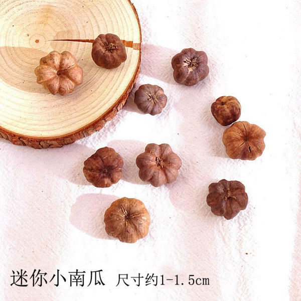[迷你小南瓜10个-干花包]