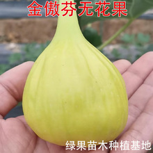 ����ҟo������ �o�������� ���Ե��� �@����ľ ������ �������l