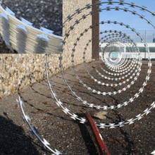 \ƬKP304oƬ̾WSֱʡX