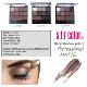 Ten-color Matte Eyeshadow s.f.r color fashion three-dimensional makeup eye shadow plate uniform long-lasting beauty eye shadow