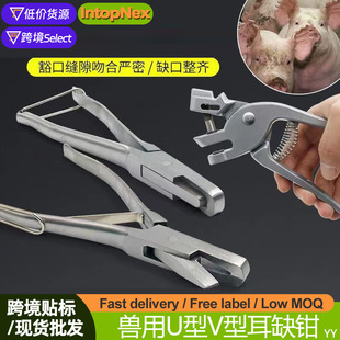 �F�ö�ȱ�Q���P�U��V�Ͷ����Q�i�ü����Q���ߘ�ӛ��̖�Q��ȱ��