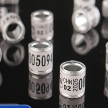 h_h2025hh2025Cӛ̖Re_h