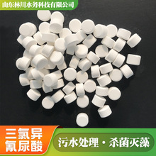 ���Ⱦ�����Ƭ���Iѭ�hˮ�������������Ƭ���VƬ ���Ȯ�������