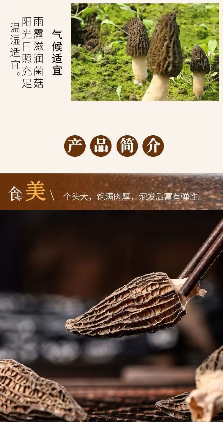 Dried Morel Mushrooms Yang Du Jun Yunnan Grown Soup Culinary Pack 10g Bottle quality and texture