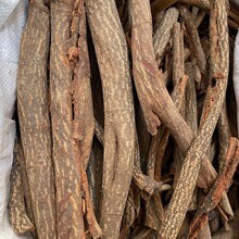 ��ș�� �t����1���� ���l���� ������ �ٻ������� ���ӹ�����