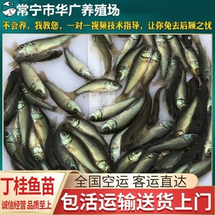 �~����w�����~�綡�i�~�綡�q�~����q�~�絭ˮ���w�Bֳ�~�