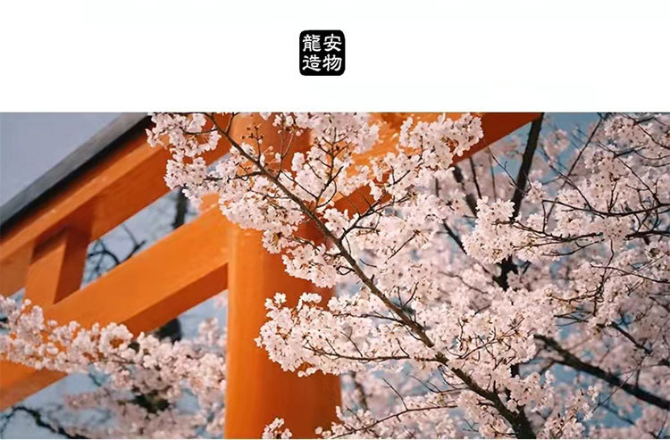 未标题-1_10.jpg