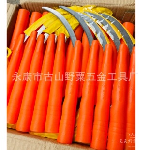 �S��ֱ�N �����ŵ��� �L���̵� �r�ߎ��X砵� ������� ��Ұ��