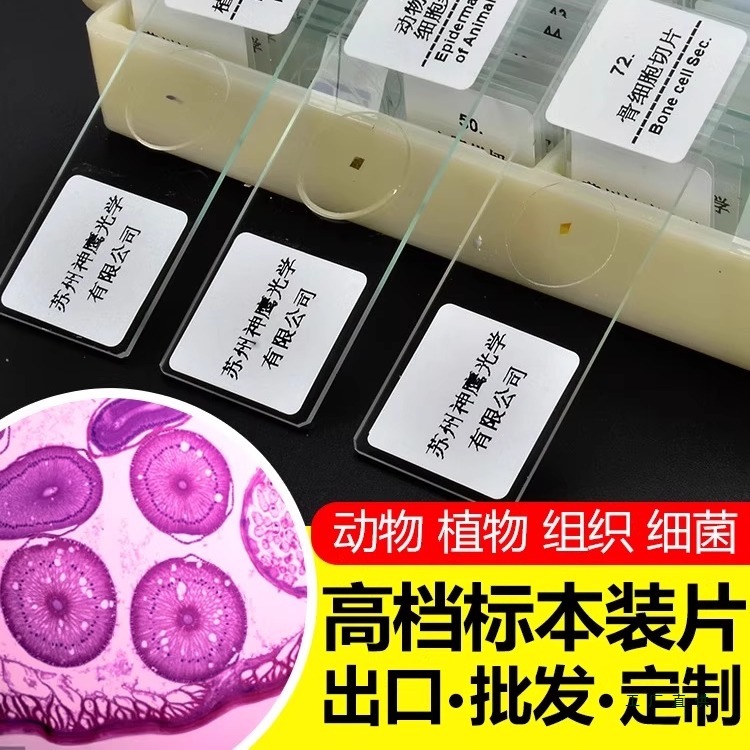生物显微镜观察标本切片动物植物装片样本玻璃载玻片学生科学生物