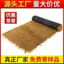 é����픵�������ë���r�Ҙ����^��ͤ����ͥԺ��̺ʽ��ƺ�b�