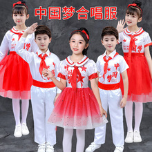 中国梦儿童合唱服女童舞蹈演出服装诗歌朗诵蓬蓬纱裙喜庆表演服