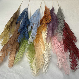 ���滨ˇ�K�F�~ ֲ�ﻨ�����W�L�҃��b���Gֲ�����~�Ӕ[��