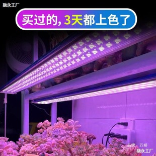 ȫ���V���⌣���a���������ɫ��̫��҃ȾGֲ����ֲ��ȫ���a���