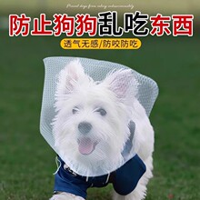 防止狗狗乱吃东西狗狗外出嘴套防咬乱吃嘴罩小型头罩狗狗防舔网套