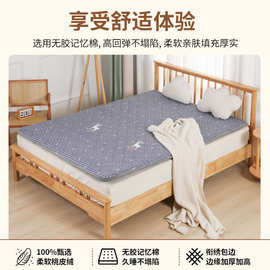 厂家批发定制 桃皮绒加厚宽包边床垫 单人宿舍家用加厚床褥学生床