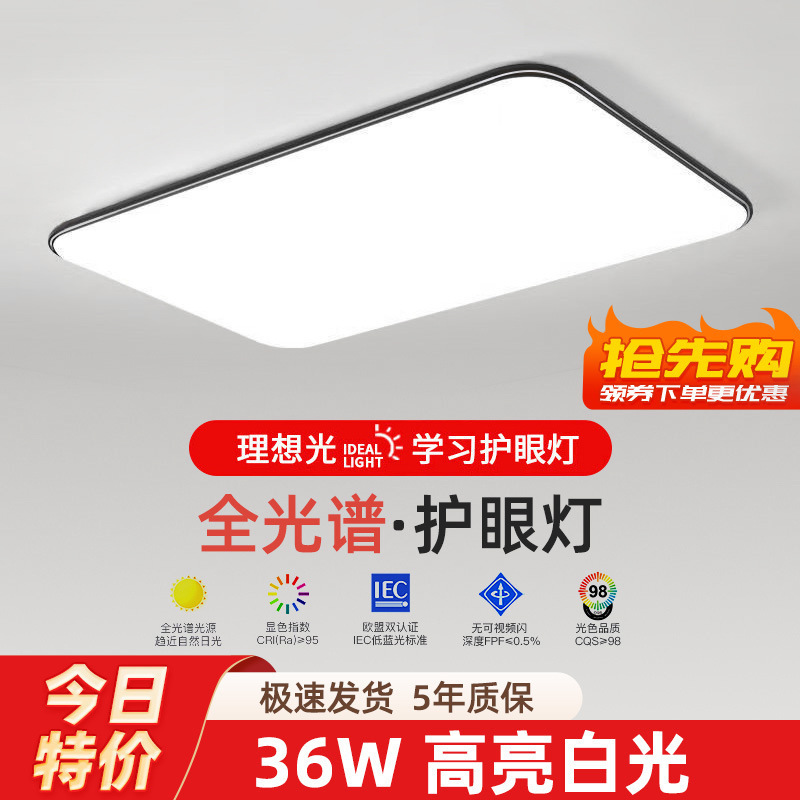 2025 新しい LED シーリングランプルームベッドルームランプリビングルームランプホールモダンシンプルな雰囲気中山ランプ|undefined