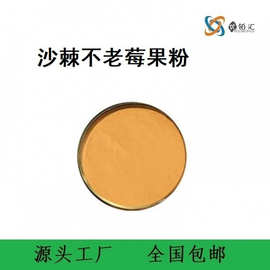 优铂汇 沙棘不老莓果粉 生产厂家 下游固体饮料 优质货源