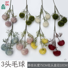 3^5^ë  zӰĔzߔ[żٻ Ƶ͏db