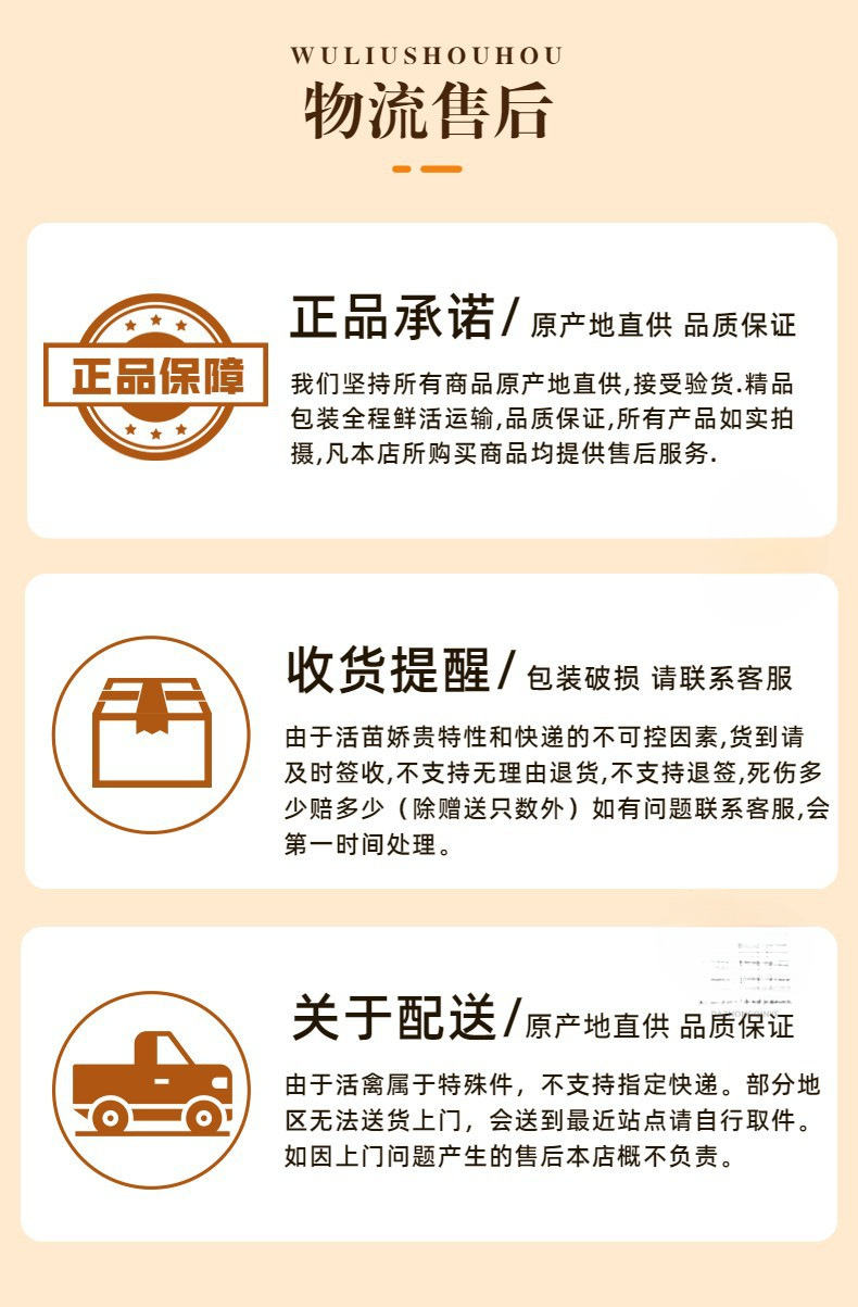 O1CN01ORu6if1D6X9g6vJ6r_!!2218980830167-