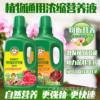 Plant nutrition solution Household -shaped potted plants universal rose hydrodexis, fleshy green Volks, flower liquid fertilizers