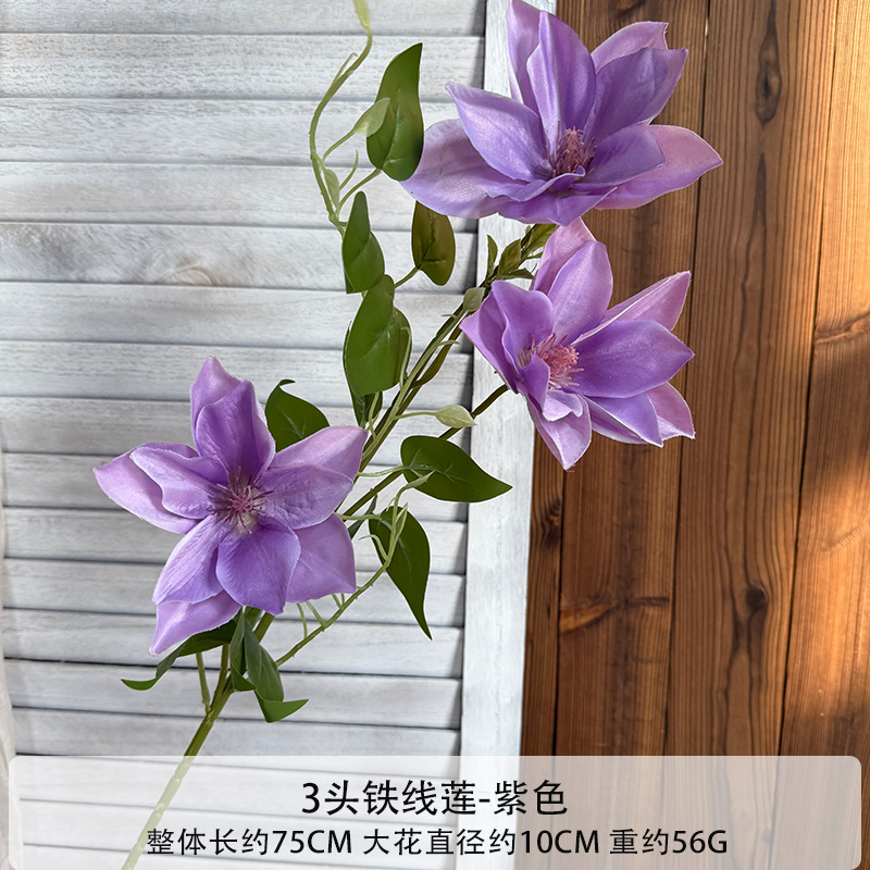 3 클레마티스