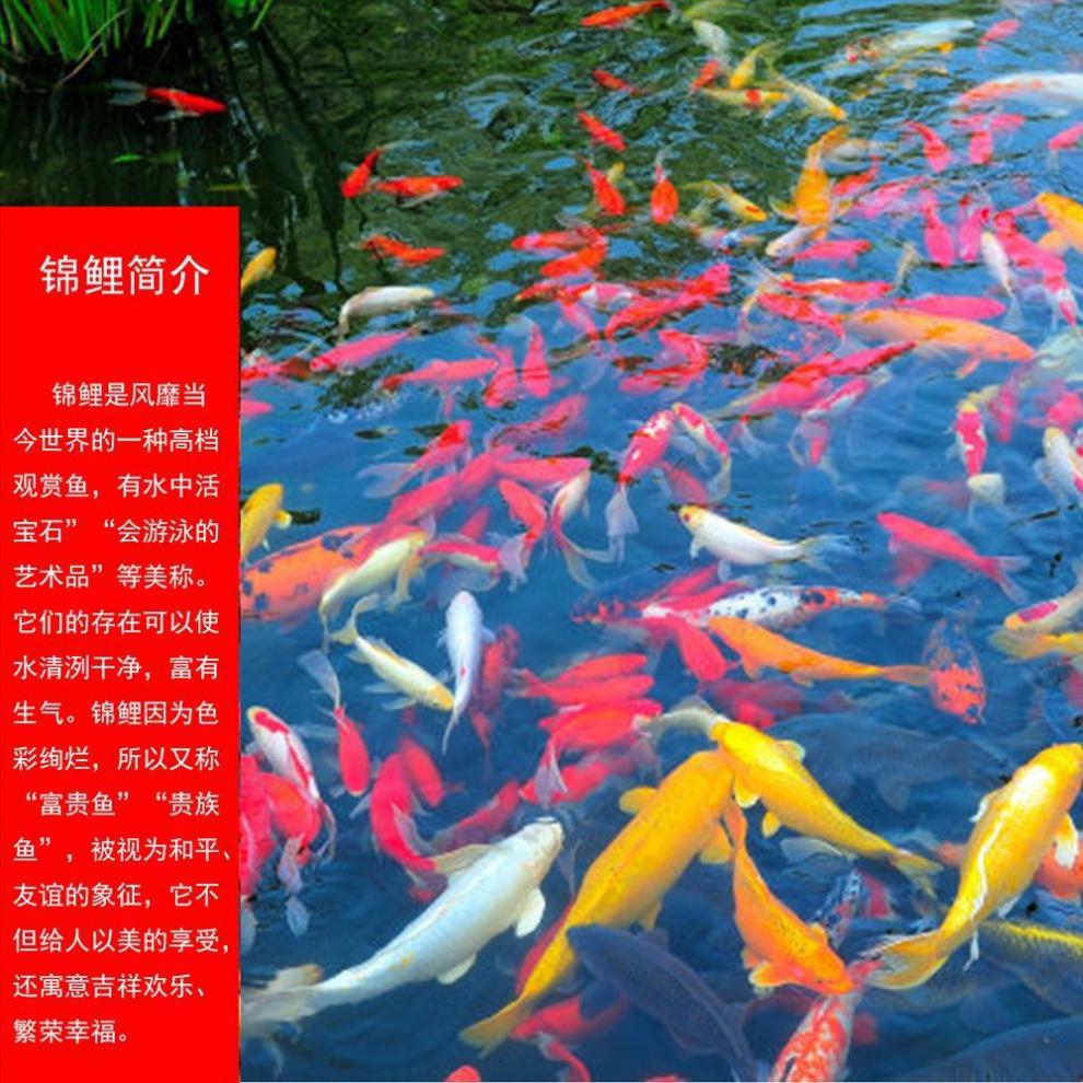 ad0bb617-db1a-4a87-8fdc-8c2bfb423801.jpe