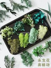 �Gɫ������ֲ���ȫ�ɻ�DIY���Ͻ���ˮ����ǧ�ӽ��ֹ����ֶY�b�