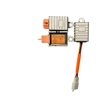 Universal Voltage Converter, Other Electric Vehicle Accessories