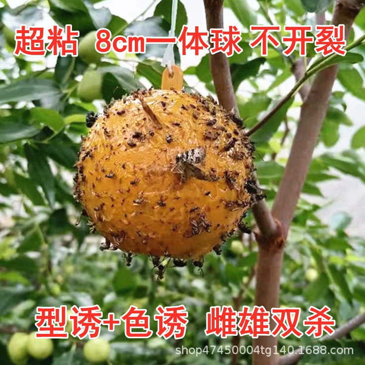 Игла пчела фруктовая муха приманка палка мяч 8 см цельная приманка для мух мяч Дыня фрукт элемент специальный шарик из совки