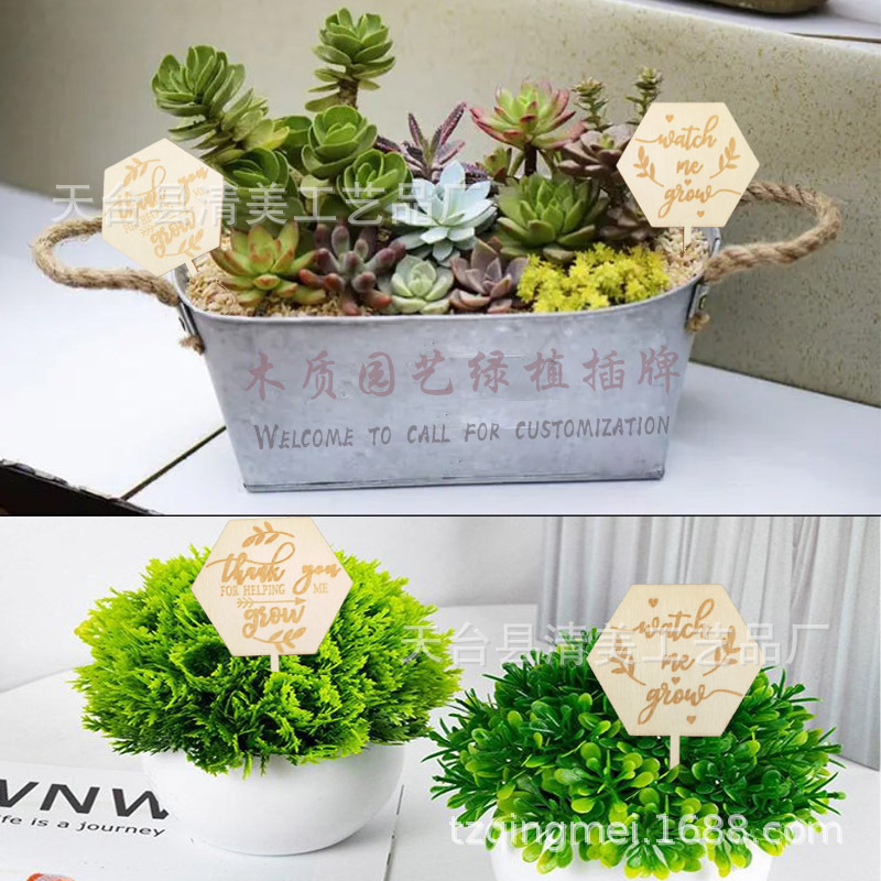 Jardinería de madera creativa, decoración de plantas verdes, letreros carnosos, letreros de madera, grabados láser, patrones de bricolaje, letreros pequeños