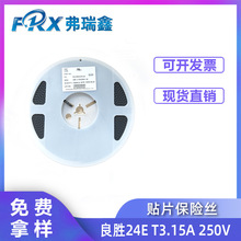 ��ʤ24E��Ƭ����˿2410 T20A 250V �⺸����˫ñ������������֤