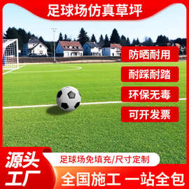 足球场草坪运动球场人造草坪门球草果岭草厂家可上门施工双色草坪