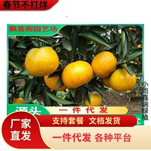 һ�����l�޽�������ɳ�����Ә���o�������ϱ����NֲͥԺ���Ե���