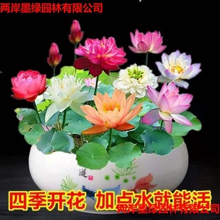 ����̌��á��羳���l˯ɏ��ɏˮ��ֲ��N��ˮ��ɻ�ɏ�ӷN��