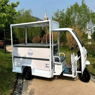 三轮流动冰柜雪糕车 冰箱冷藏冷饮车 移动雪糕售卖车 保鲜运输车