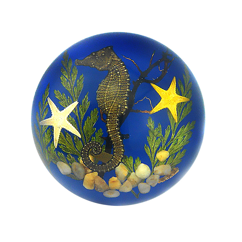 Seahorse seascape with blue background [bubble bag simple packaging]
