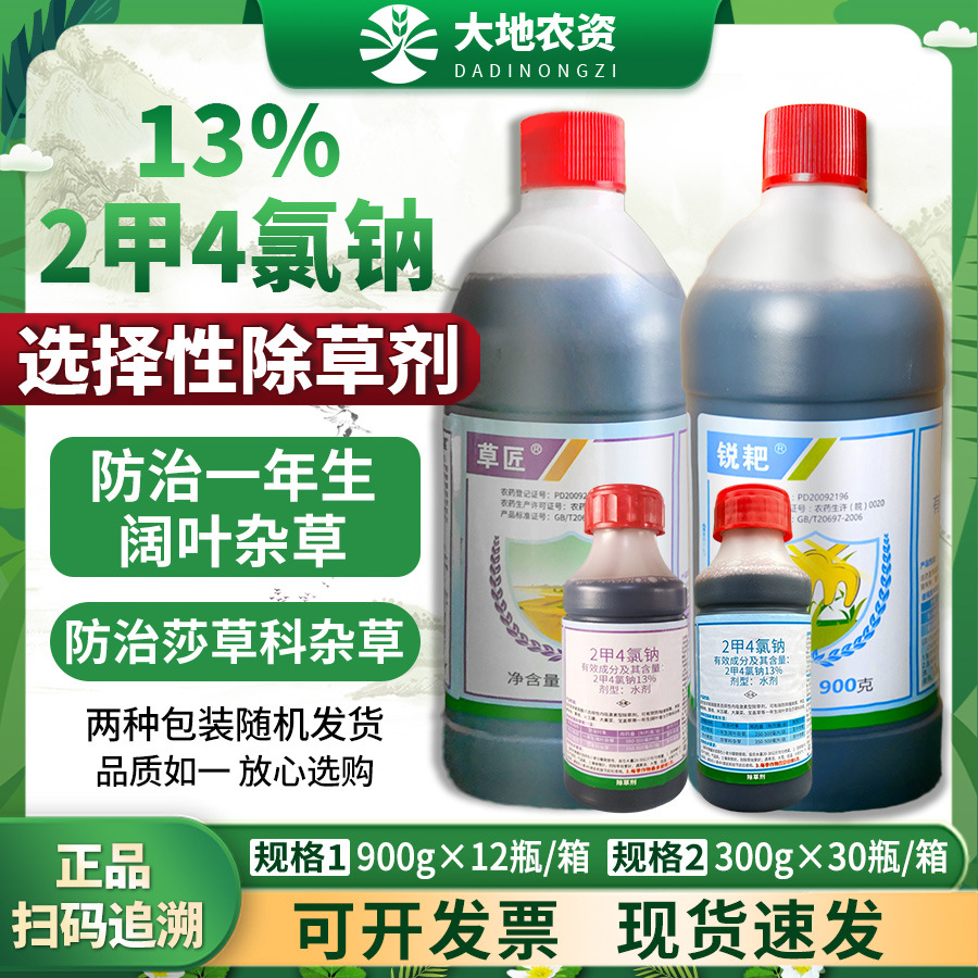 华星草匠锐耙2甲4氯二甲四氯钠水剂小麦除阔叶杂草莎草专用除草剂