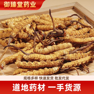 ���b�Y�����������^�綬�x�Ĳ�ɢ�b�������Ӽ�x�����l��Ʒ�|