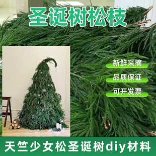 ?�}�Q���֦�}�Q�b����r������Ů��֦��ɼˮ��Gֲdiy�}�Q����