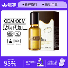 �N���˅��x���S���۲����A�͵������y�������񿹰��۲����A�Ͷ���