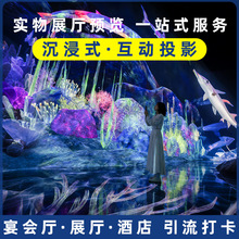 5D全息互动投影设备 花海艺术网红馆地面墙面融合系统网红馆