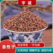 ��������ș�����l�P�ɻ��ӽ��P���Ӯ�����؛����r�������ѷ�