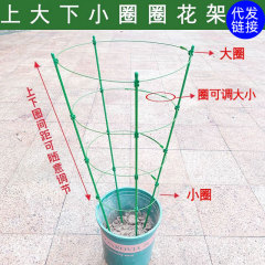 藤の花の棚に登ります。