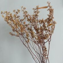 永生小米果干花小清新浮游花批发diy轻奢简约居家摆设拍照道具