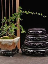 ✅花盆底座鱼缸盆景奇石摆件佛像工艺品多肉花瓶托盘花架香炉茶壶